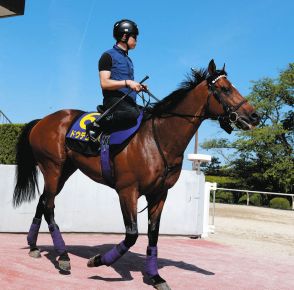 【宝塚記念】武豊「いつものこの馬の競馬をしたんだけど…道悪のせいにしたくない」1番人気のドウデュースは6着に敗れる