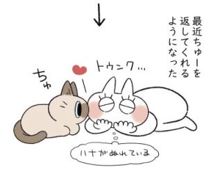 飼い主と愛猫の相思相愛がたまらない！  デレデレ系日常マンガ『シャム猫あずきさんは世界の中心』【書評】