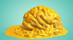 安手なミーム・コンテンツの大量に消費すると脳はどうなる？「ブレインロット（脳の腐敗）」は本当に起きているのか？
