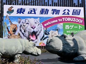 「かなりぬれる」　東武動物公園で夏季限定のウオーターイベント開催　来月13日から