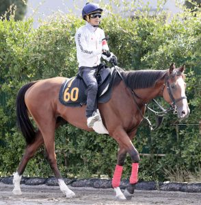 【ラジオＮＩＫＫＥＩ賞・西山の特注馬】調教通りなら狙えるウインマクシマム