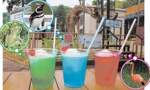 雨の日に爽やかなクリームソーダはいかが？岡山の動物園が人気者をイメージした３色を限定販売「暑くてじめじめした日にぴったり」