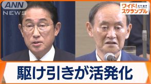 岸田総理、自民総裁選に意欲も…若手から疑問の声「軽々しく口にすることではなく」