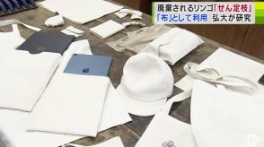 「リンゴの枝」が「布」に?　弘前大学が地元の企業と連携して作製　研究を重ねて目指す製品化