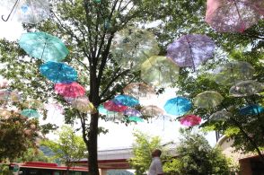 「梅雨はいつまで？見たい方はお早めに」アンブレラスカイ　見上げる晴れ間から差すビニール傘の色