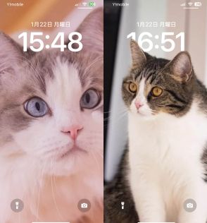 愛猫の写真を、iPhoneのロック画面の時計より前に置く方法