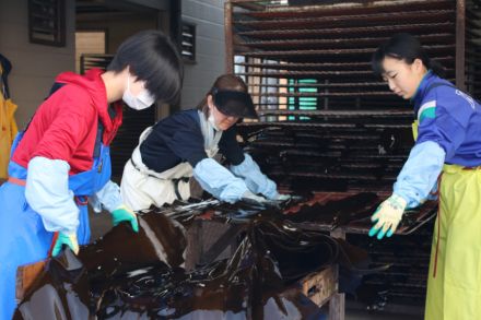 養殖コンブ漁、支える北海道福島商業高生　生徒増が人手不足解消の一助に