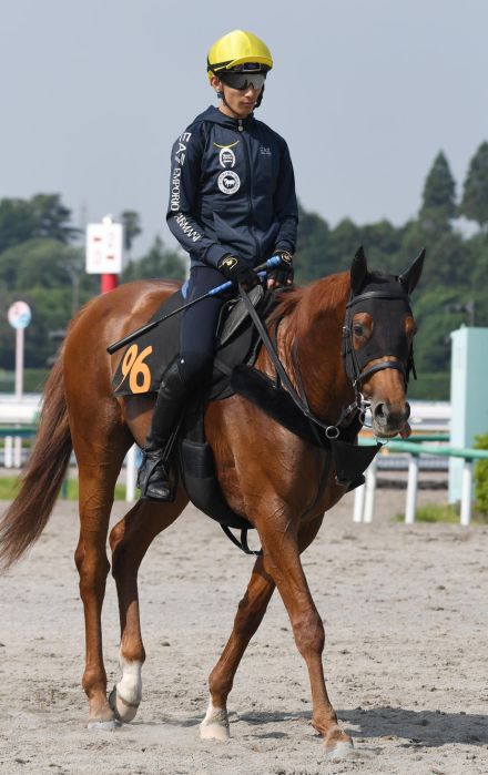 上原佑師、アレグロブリランテで11度目重賞挑戦「結果出したい」／ラジオNIKKEI賞