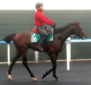 【ＰＯＧ】プロ野球ソフトバンクのギータと競馬界のレジェンド武豊の強力タッグ　セイフウサツキが函館でデビュー