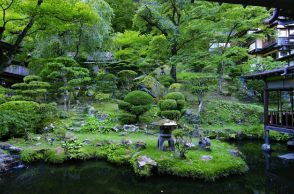 会津東山温泉の向瀧庭園、国登録記念物に　二本松の藩校跡を史跡追加指定へ