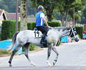 【北九州記念】小倉巧者のヤクシマがハイペースで浮上　寺島調教師「いい脚を使ってくれれば」