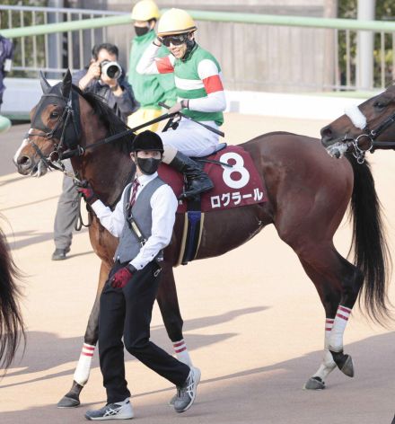 【ラジオＮＩＫＫＥＩ賞】良血ログラールはハンデ５４キロも魅力　松永幹調教師「斤量を生かしたい」