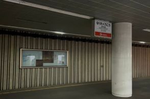 33年前に封印された「幻のホーム」に潜入！ 旧成田空港駅が「リアル8番出口」「降りちゃいけない異変」とSNS注目