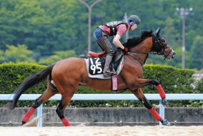 ラジオNIKKEI賞　ログラール、格上挑戦でも大金星は十分可能　松永幹師　「だいぶコントロール利くように」