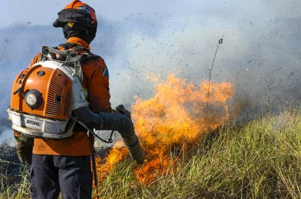世界最大の熱帯湿原に非常事態 「制御不能の火災」 ブラジル