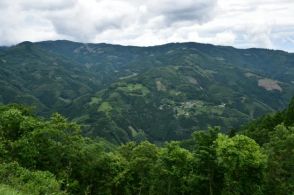 災害強い山林づくり期待　宮崎県再造林条例成立　県民の意識醸成後押し