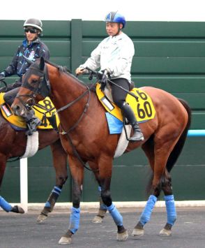 【巴賞】ホウオウビスケッツは函館・Ｗコースで軽快　陣営「動きは本当にいいですね」