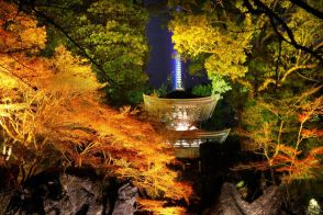 琵琶湖から紅葉の石山寺へ船で「石山詣で」　湖上で花火も