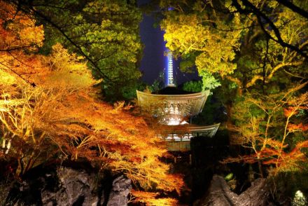 琵琶湖から紅葉の石山寺へ船で「石山詣で」　湖上で花火も