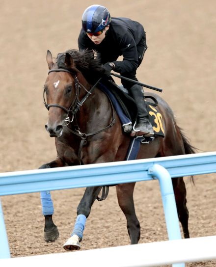 【ラジオＮＩＫＫＥＩ賞】シリウスコルト伸び伸びスムーズ　三浦皇成騎手「いい調整ができている」