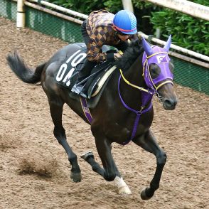 【北九州記念】連対率１０割のペアポルックスは坂路で５４秒８　松若風馬騎手「古馬相手でも遜色ありません」