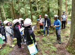 水と森を学ぶ　田辺市龍神村で本宮・三里小児童、和歌山