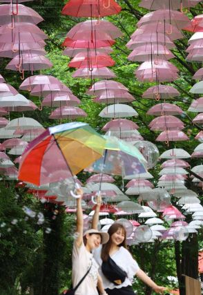 見上げると傘がいっぱい　埼玉・飯能「ムーミンバレーパーク」