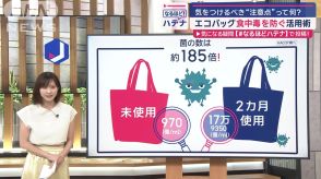 「エコバッグ」にも食中毒の危険　使い方で気をつけるべき“注意点”って何？