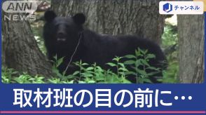 前代未聞！日光の校庭にクマ居座り　ホテルの敷地にも