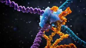 次世代ゲノム編集ツールの可能性　DNA組み換えの新発見　東大など