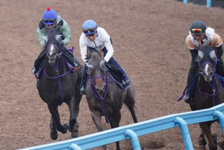 【ラジオNIKKEI賞】セットアップ　戸崎も出来に納得「このひと追いで仕上がった」