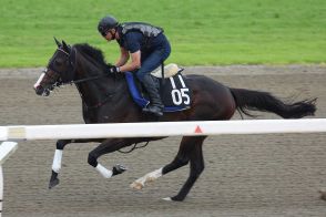 【ラジオNIKKEI賞】ミナデオロ　サラッと調整程度、陣営「ハンデ57キロなら心配ない」