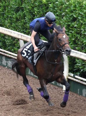 【ラジオNIKKEI賞】サトノシュトラーセ　タイム以上の脚色、陣営「リフレッシュ効果でいい状態」