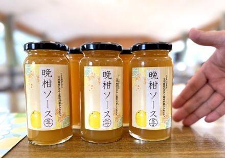 爽やかな酸味　高校生が開発した肉にもアイスにも合う「晩柑ソース」