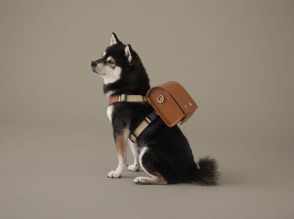 大谷翔平の愛犬「デコピン」が土屋鞄のランドセルを着用、ブランドは急遽再販も検討