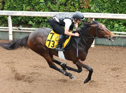 【北九州記念】栗東滞在のサーマルウインドは夏が得意　集中した走りで坂路ラスト１２秒０