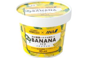成城石井×ANA、田辺農園バナナを使用した濃厚アイス。6月29日発売