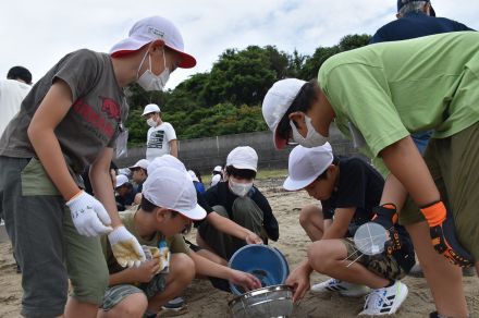 豊かな海、みんなで守ろう　常盤小6年生が清掃とプラごみ調査【宇部】