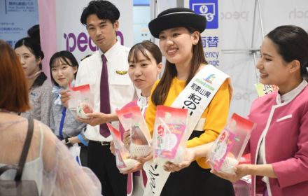 格安航空Peach　海外からの旅客に桃プレゼント　和歌山県産