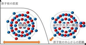 原子核に新たな見方、2つの構造併せ持つことを発見 大阪公立大
