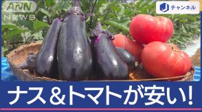 物価高の救世主！「夏野菜の王様」ナス＆トマトがとにかく安い！