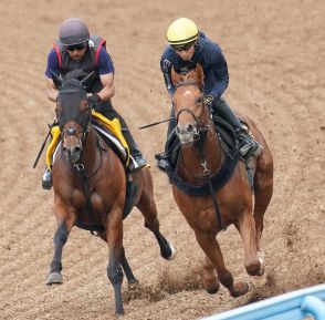 【ラジオNIKKEI賞】アレグロブリランテ合格点！Wコースで最後まで余力たっぷり併入