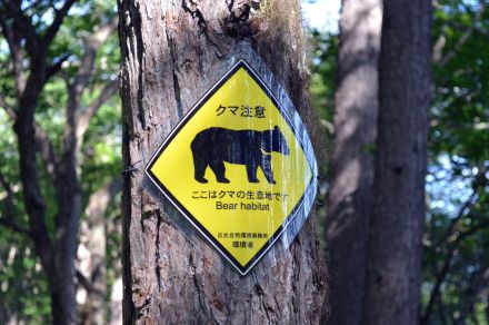 クマとの遭遇は不可避か？　万全の熊害対策で必携の「大音量ホーン」と「熊撃退スプレー」はもはや手放せない