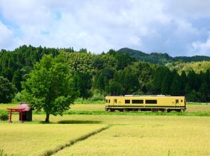 いすみ鉄道で「ランチクルーズ」　夏の田園風景を楽しんで