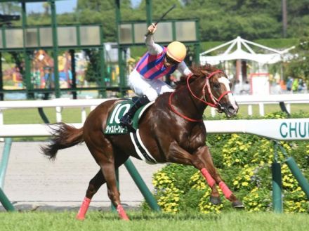 【北九州記念枠順確定】ジャスパークローネは6枠11番、ピューロマジックは6枠12番