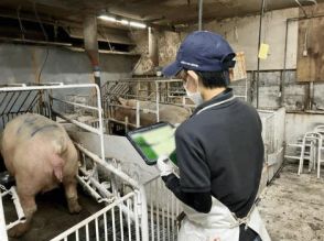 NEC通信システム、養豚業のDX化とアニマルウェルフェア対応の実証実験を実施