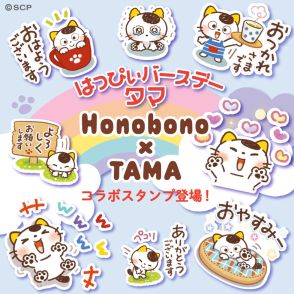 タマ＆フレンズが大人気イラストレーターHonobonoとコラボ！タマの誕生日にオリジナルLINEスタンプを発売