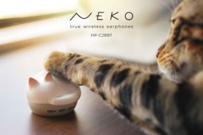 “猫のかわいさを詰め込んだ”ワイヤレスイヤフォン登場！　眠る猫の充電ケースに「みゃー」と鳴く音声アナウンスも