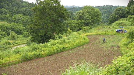 【困惑】“水不足”で田植えができない!?少雪が新潟のコメ作りに深刻な影響「水がたまらないことには…」一部田んぼで作付け断念