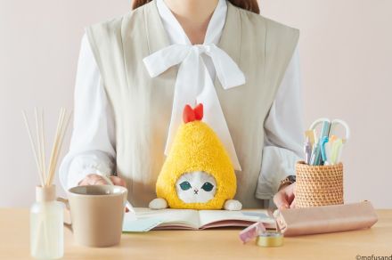 【mofusand】「サメにゃん」と「えびにゃん」が姿勢をサポートにゃん